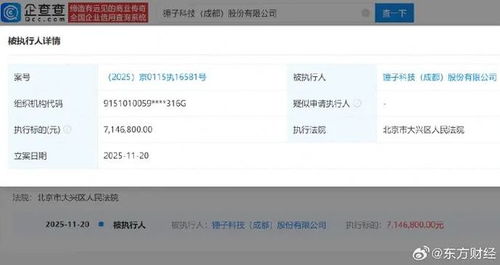 罗永浩公司再被执行715万 回应称5年前已完成债务清偿